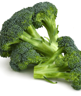 Broccoli