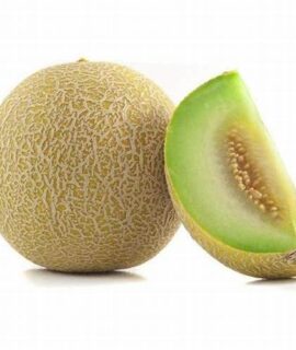 Melon