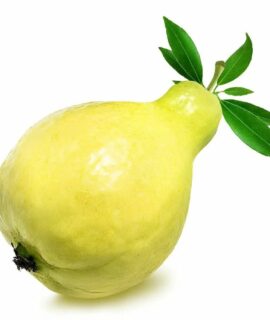 Guava