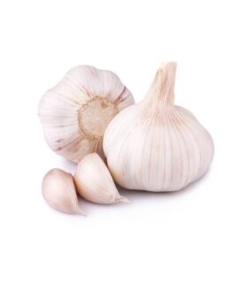 Garlic